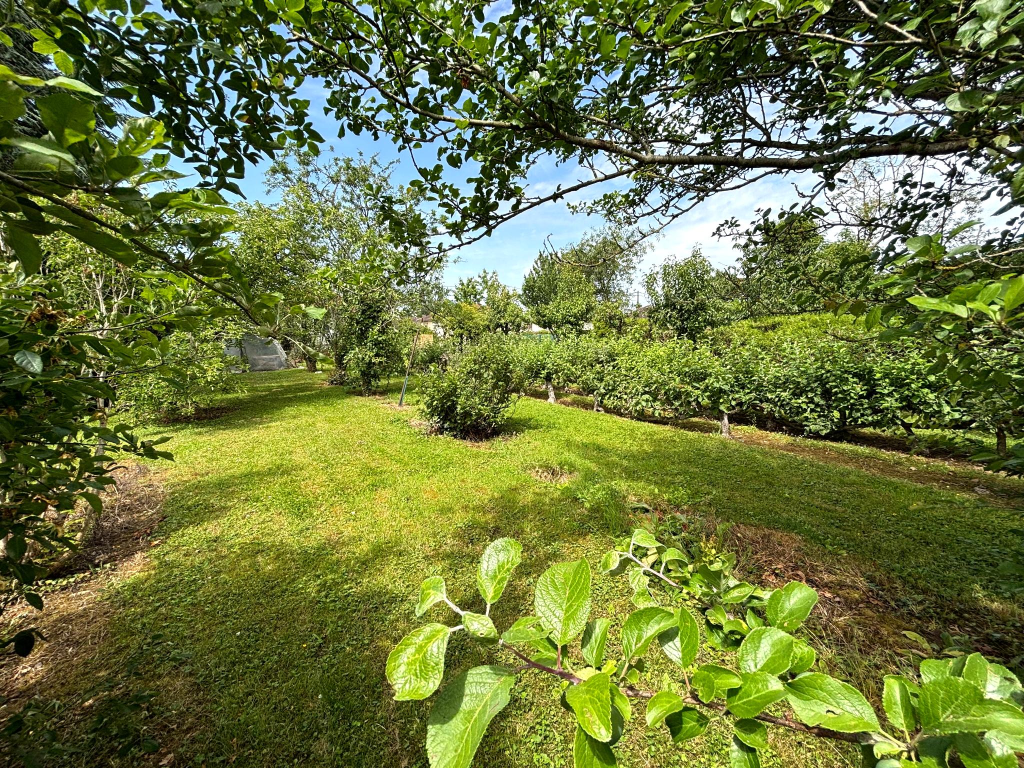 Jardin-2